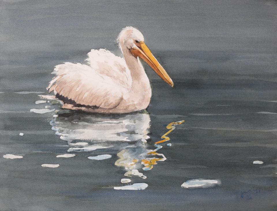 Pelican (80K)