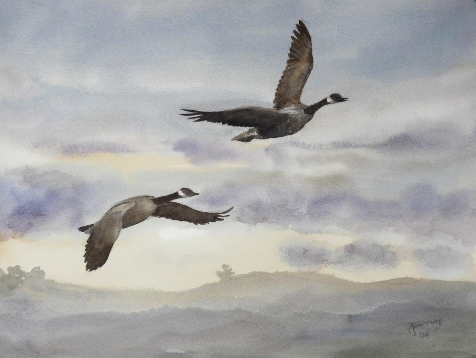 Canada Geese (68K)