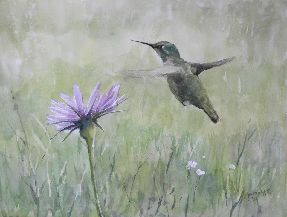 Humming Bird (78K)
