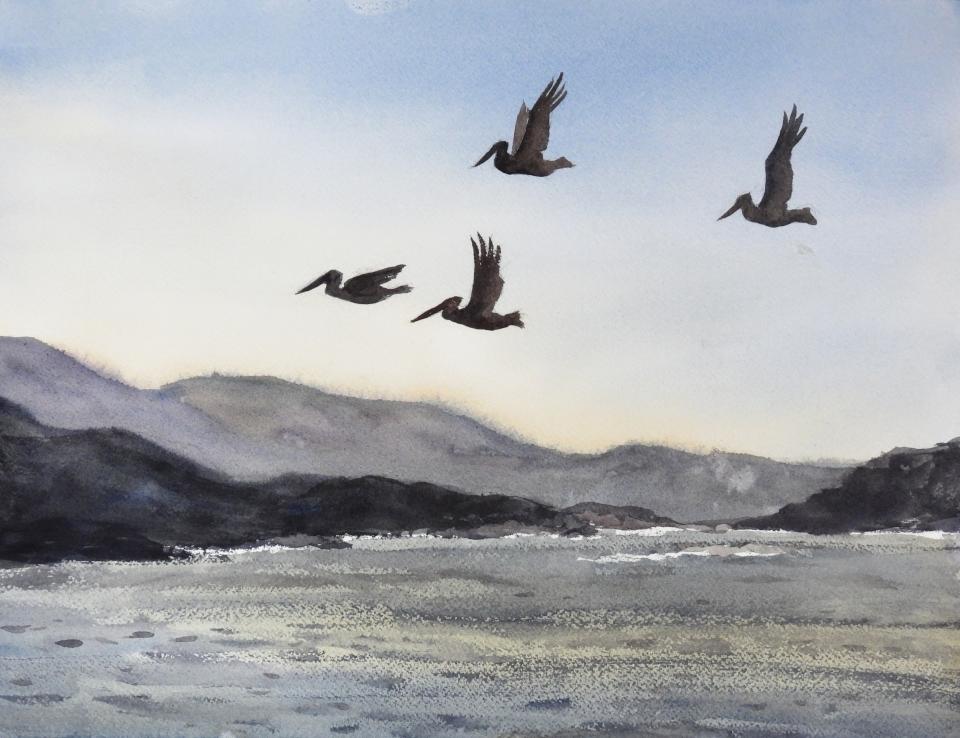 Pelicans (80K)