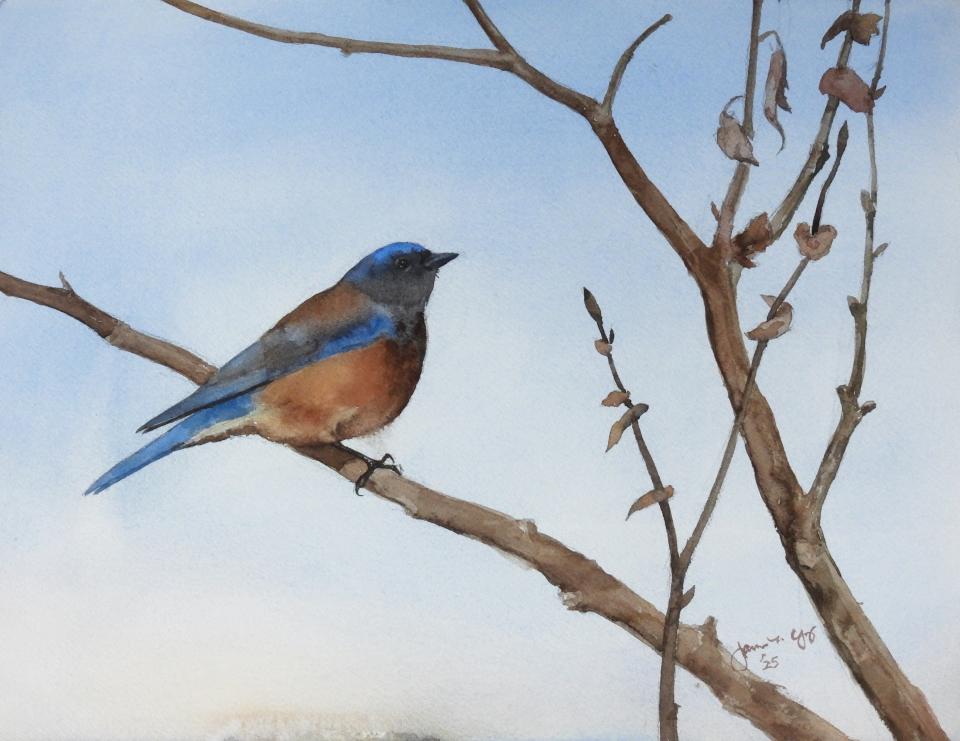 Blue Bird (72K)
