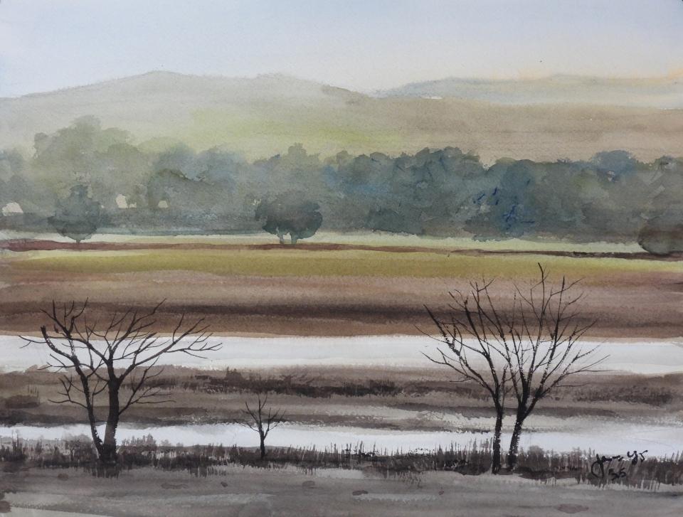 Roadside Pond (87K)